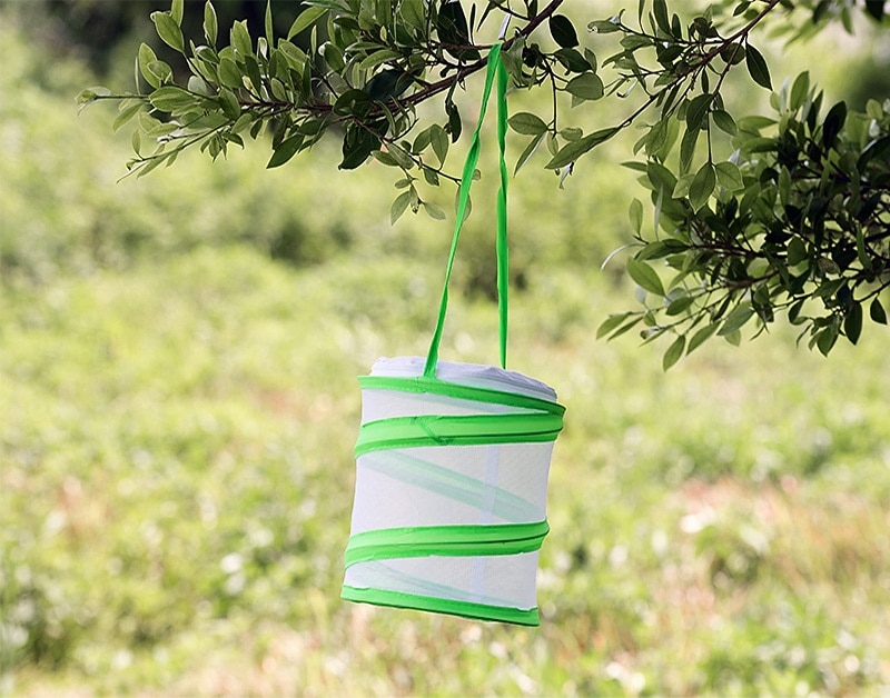 outils d'exploration en plein air pour enfants attraper des papillons libellules insectes collecter et attraper des filets observer des biberons nourrir des vers à soie boîtes cages de 2025 ? $25.99 –P10
