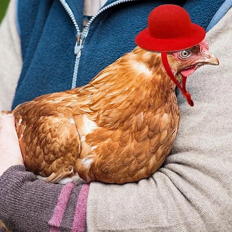 Cappello da pollo in fibra di poliestere resistente con chiusura a coulisse per la protezione del pollame, adatto a varie razze di polli del 2025 a $5.99 –P2