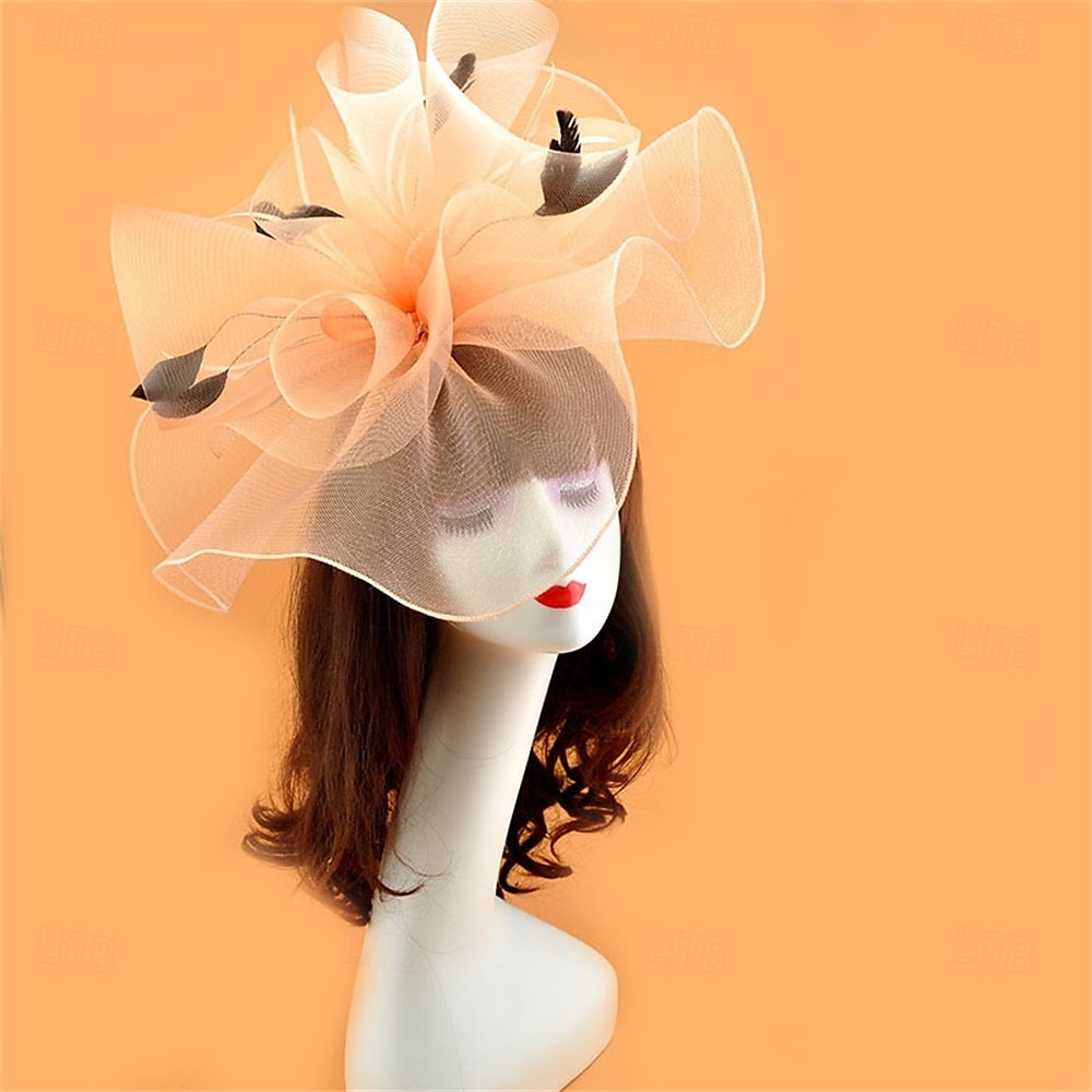 Coiffe Tulle Chapeau Fedora Mariage Anniversaire Soirée Fête du thé Course de Chevaux Élégant ancien Mignon Avec Plume Casque Couvre-chef de 2025 ? $19.99 –P20