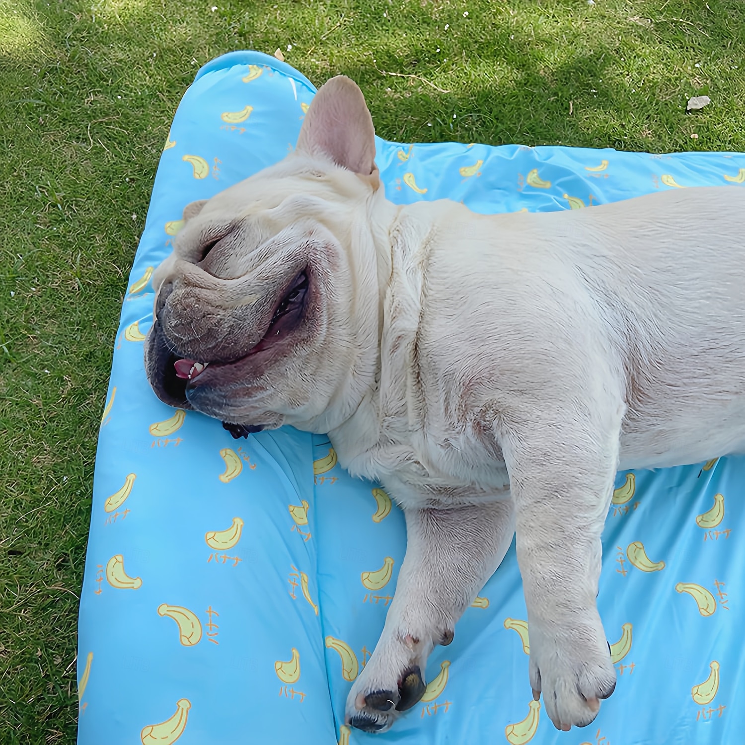 Lit pour chien rafraîchissant tapis de refroidissement pour animaux avec coussin couverture rafraîchissante en soie glacée pour chien tapis auto-refroidissant pour chat et chien tapis d'été lavable de 2025 ? $24.99 –P1