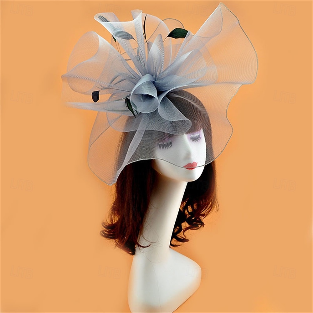 Coiffe Tulle Chapeau Fedora Mariage Anniversaire Soirée Fête du thé Course de Chevaux Élégant ancien Mignon Avec Plume Casque Couvre-chef de 2025 ? $19.99 –P21