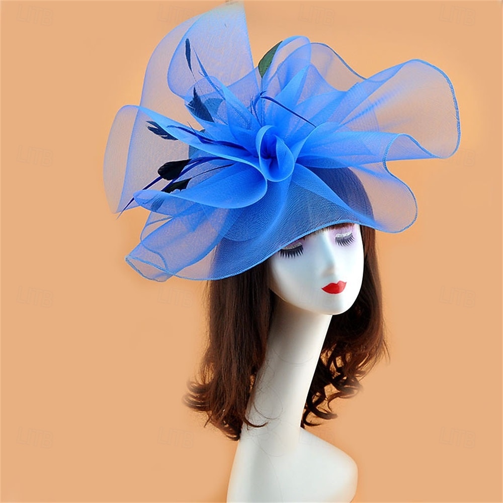 Coiffe Tulle Chapeau Fedora Mariage Anniversaire Soirée Fête du thé Course de Chevaux Élégant ancien Mignon Avec Plume Casque Couvre-chef de 2025 ? $19.99 –P24