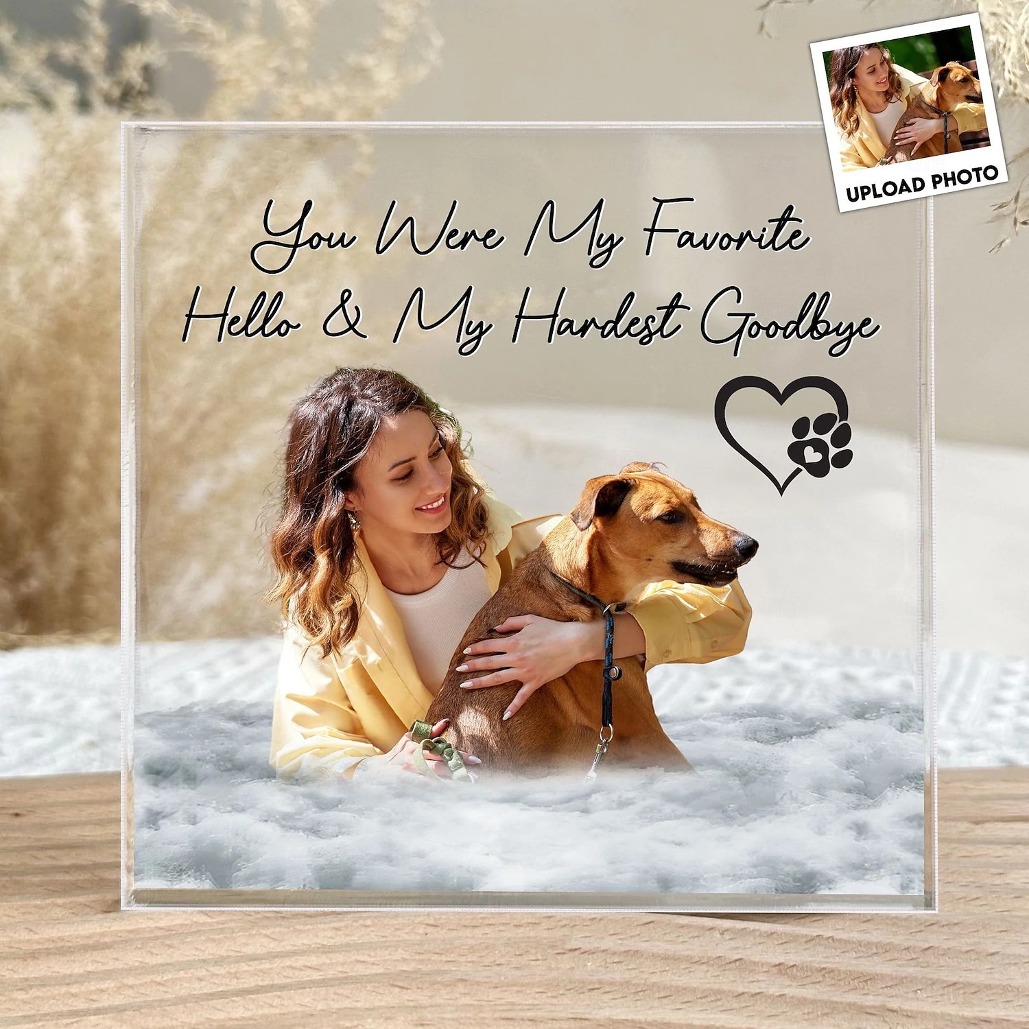 Plaque photo commémorative personnalisée en acrylique pour animaux de compagnie, cadeaux de condoléances personnalisés pour la perte d'êtres chers, décoration commémorative pour chien de compagnie de 2025 ? $7.99 –P1