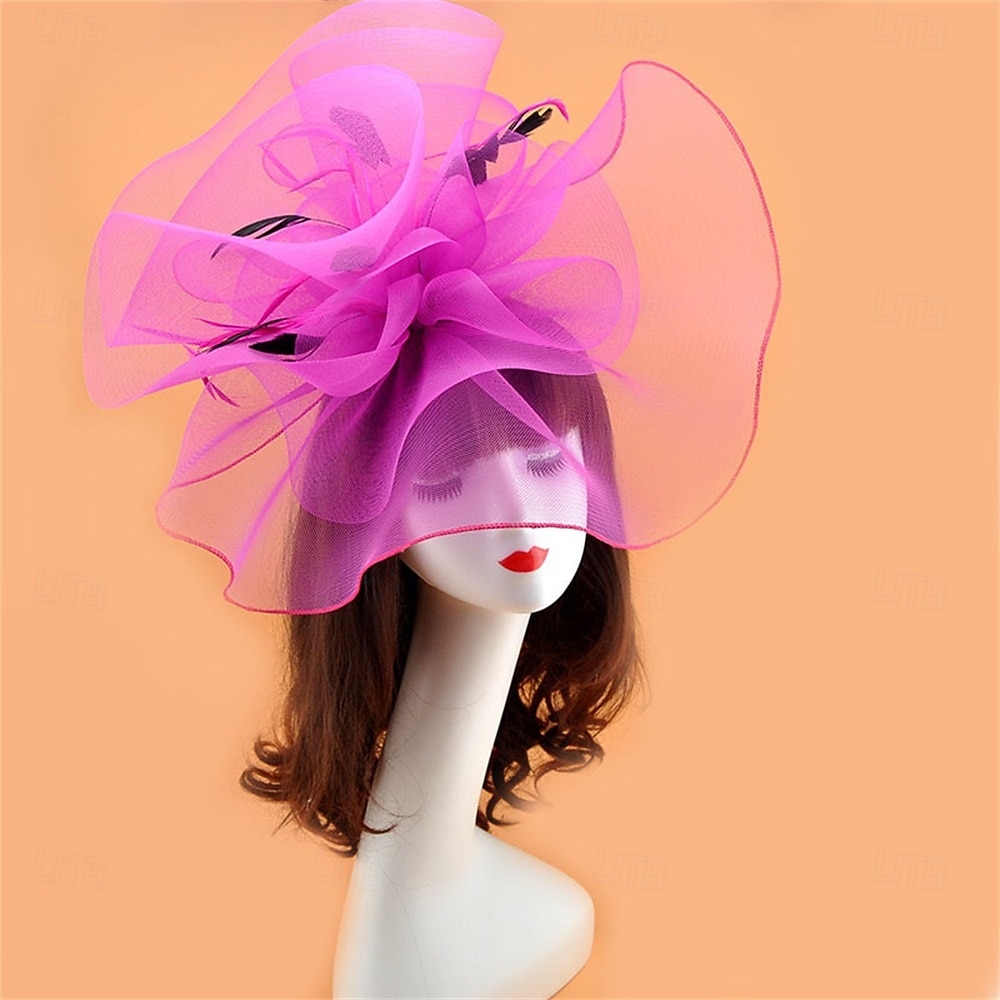 Coiffe Tulle Chapeau Fedora Mariage Anniversaire Soirée Fête du thé Course de Chevaux Élégant ancien Mignon Avec Plume Casque Couvre-chef de 2025 ? $19.99 –P17