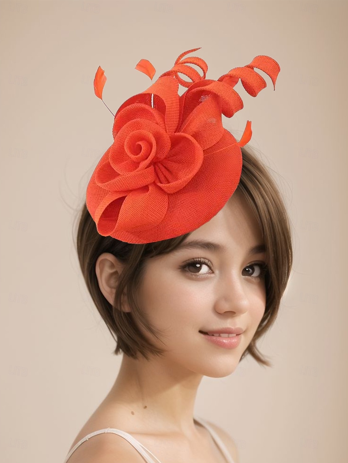 Kopfstück Federn Hochzeit Abendgesellschaft Elegant Hochzeit Mit Feder Kopfschmuck Kopfbedeckung 2025 - $22.99 –P6