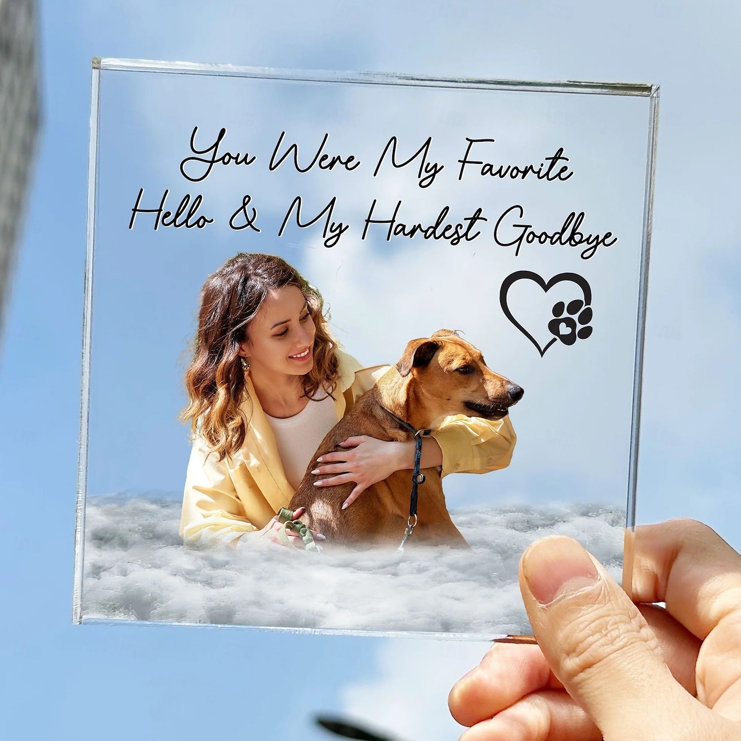 Plaque photo commémorative personnalisée en acrylique pour animaux de compagnie, cadeaux de condoléances personnalisés pour la perte d'êtres chers, décoration commémorative pour chien de compagnie de 2025 ? $7.99 –P3