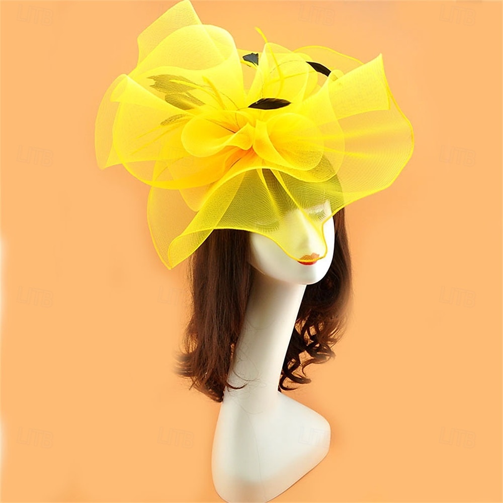 Coiffe Tulle Chapeau Fedora Mariage Anniversaire Soirée Fête du thé Course de Chevaux Élégant ancien Mignon Avec Plume Casque Couvre-chef de 2025 ? $19.99 –P10
