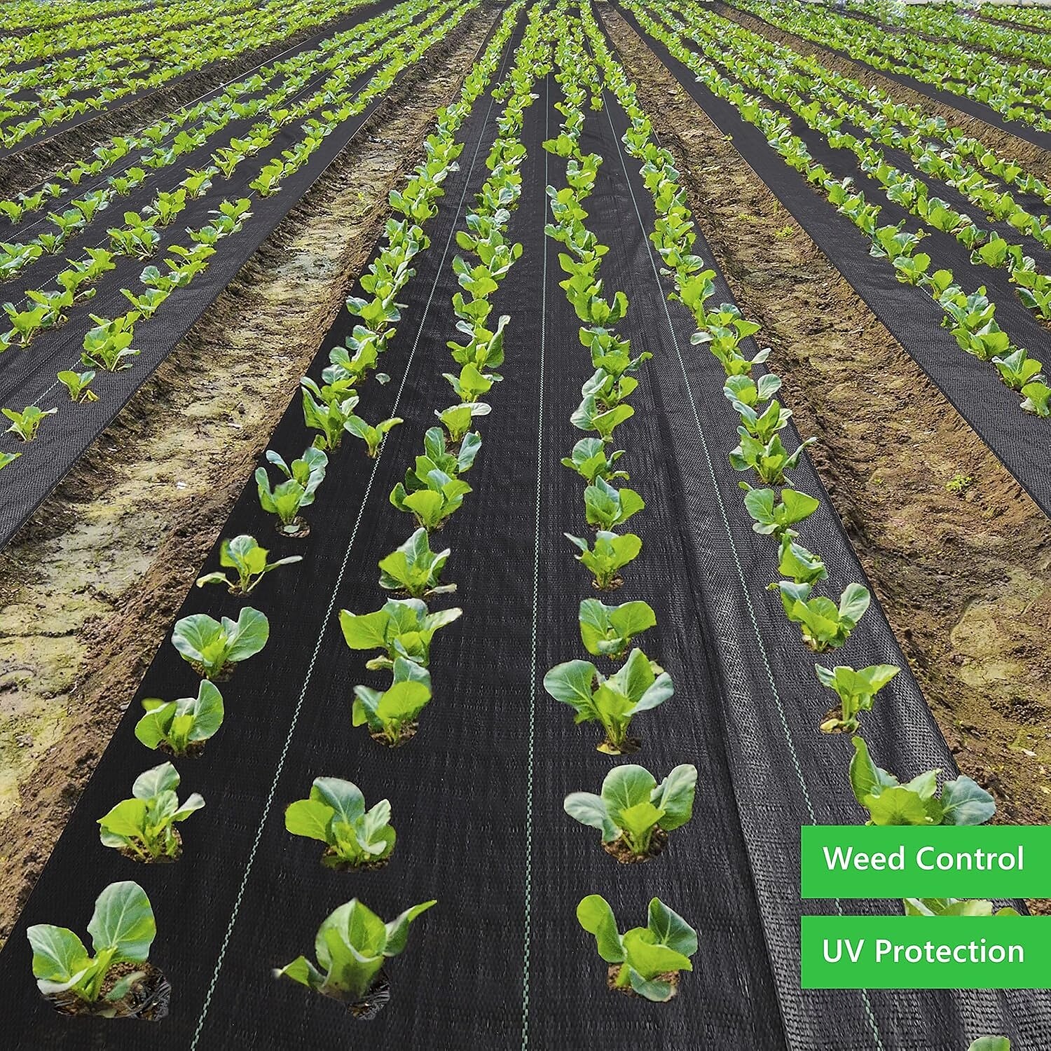 Weed Barrier Fabric Heavy Duty, Landscape Fabric, Easy Install & Rugged Plastic Ground Cover Weed Barrier with UV Protection for Gardens, Landscaping Fabric 2025 - $47.99 –P7