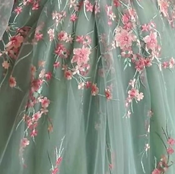 Robe de Prom Tulle A-line Brodée de Fleurs Élégante Robe Formelle Invité de Mariage Longueur Thé Sans Manches Col en V de 2025 ? $149.99 –P3