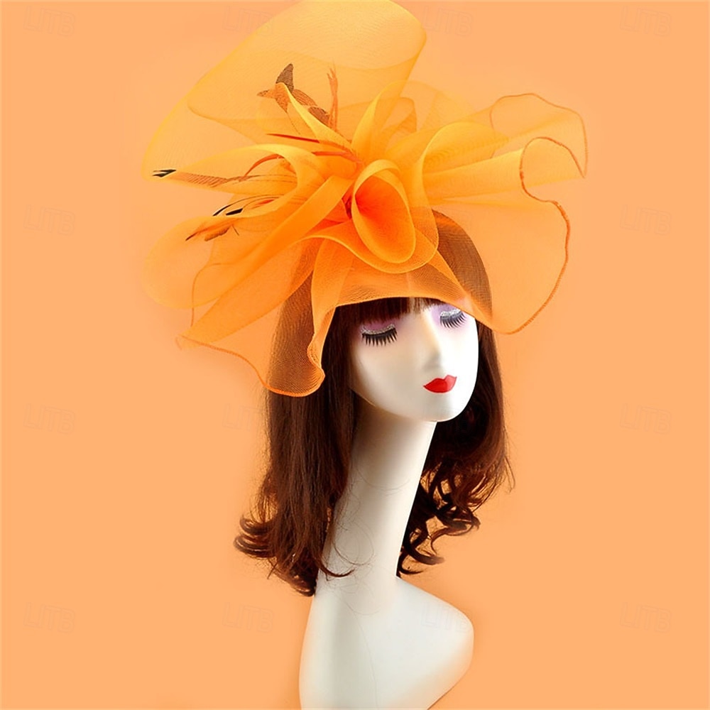 Coiffe Tulle Chapeau Fedora Mariage Anniversaire Soirée Fête du thé Course de Chevaux Élégant ancien Mignon Avec Plume Casque Couvre-chef de 2025 ? $19.99 –P19