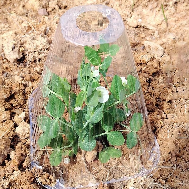 10/20/30 PCS Clear Garden Cloche for Plants, Plant Covers Protectors, Reusable Bell Plant Cover, Multifunctional Plant Covers Plant, Protect Plants from Birds, Animals, Frost, Freeze Weather 2026 - $22.19 –P6