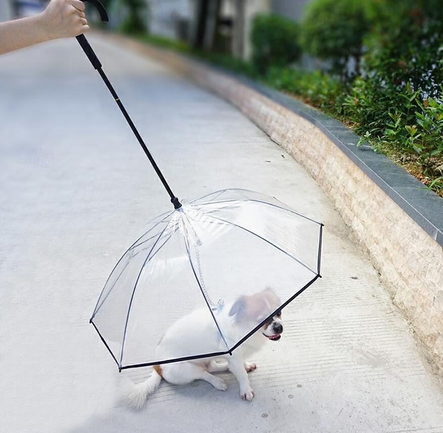 Paraguas para perros pequeños, correa transparente para paraguas, impermeable, paraguas para pasear perros con cadena de metal, equipo de lluvia para exteriores para mascotas. 2025 - $23.99 –P7