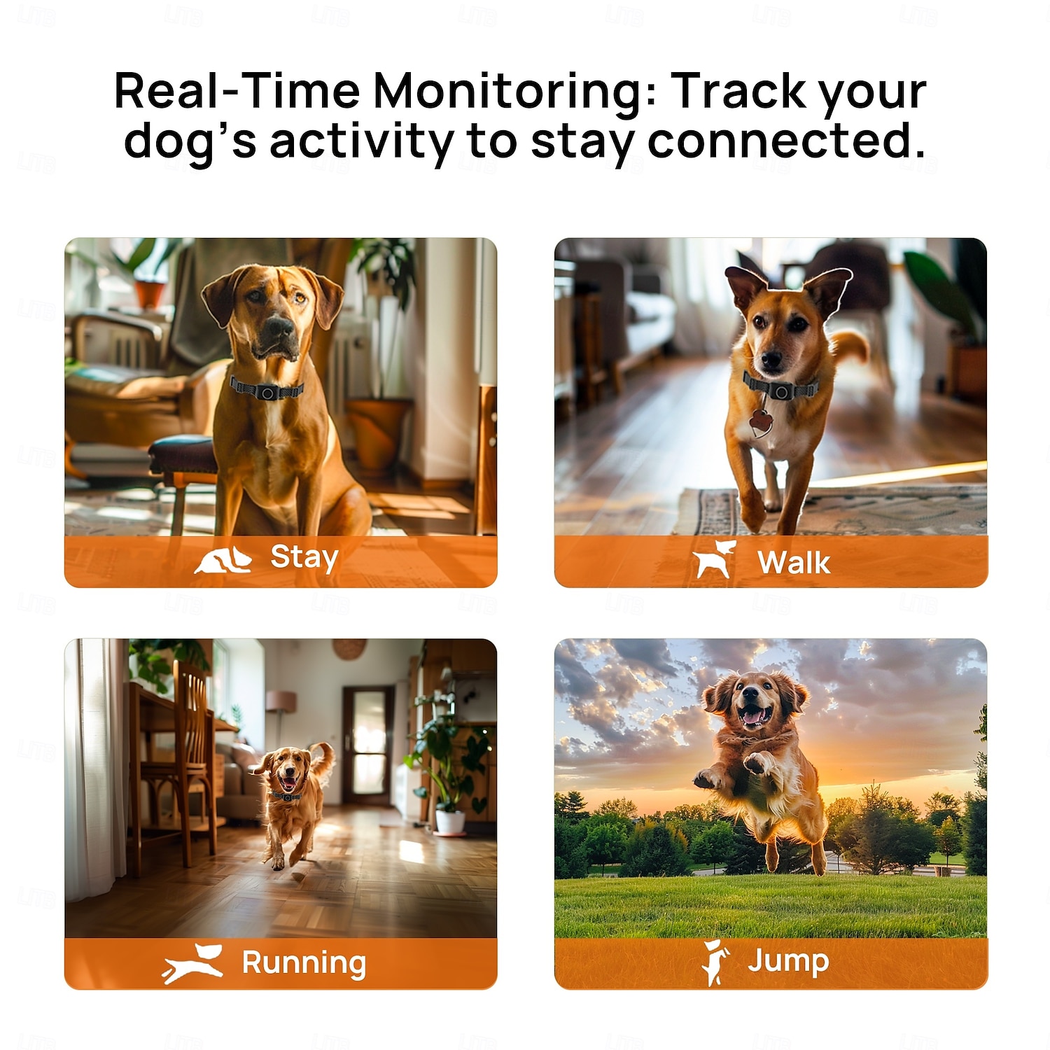 Trådløst gjerde for hundetrening, trådløst hundegjerde, 3 moduser, pipelyd, vibrasjon, vanntett, bærbar, trådløs, oppladbar, sikkerhet, nylon, abs+pc, elektroniske atferdshjelpemidler, 2025 - $106.99 –P9