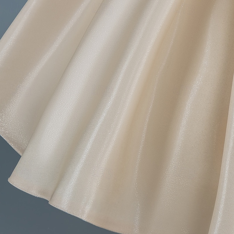 Tout-petit Fille Robe de Soirée Paillettes Manche Courte Mariage Soirée Paillettes Fermeture éclair Noeud de cravate Actif Adorable Polyester Mi-long Robe de Soirée Été Printemps Automne 4-7 ans de 2025 ? $30.99 –P6