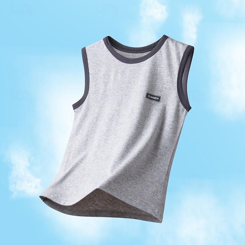 Kinder Jungen Panzer Tee Farbblock Ärmellos Kinder oben Ausgehen Basic Sommer Weiß Ab 4 Jahren 2025 - $13.99 –P5