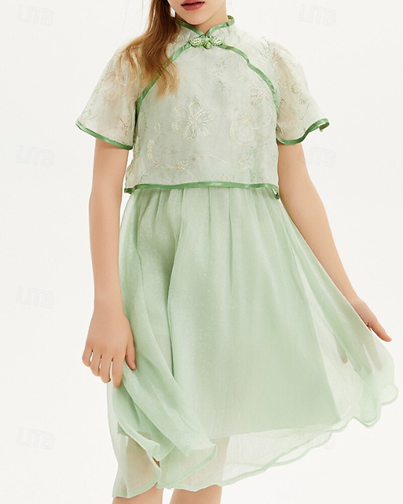Kids Girls' Dress Solid Color Short Sleeve Outdoor Mesh Patchwork Adorable Polyester Knee-length Casual Dress Summer 4 years+ Green 2025 - $64.99 –P2