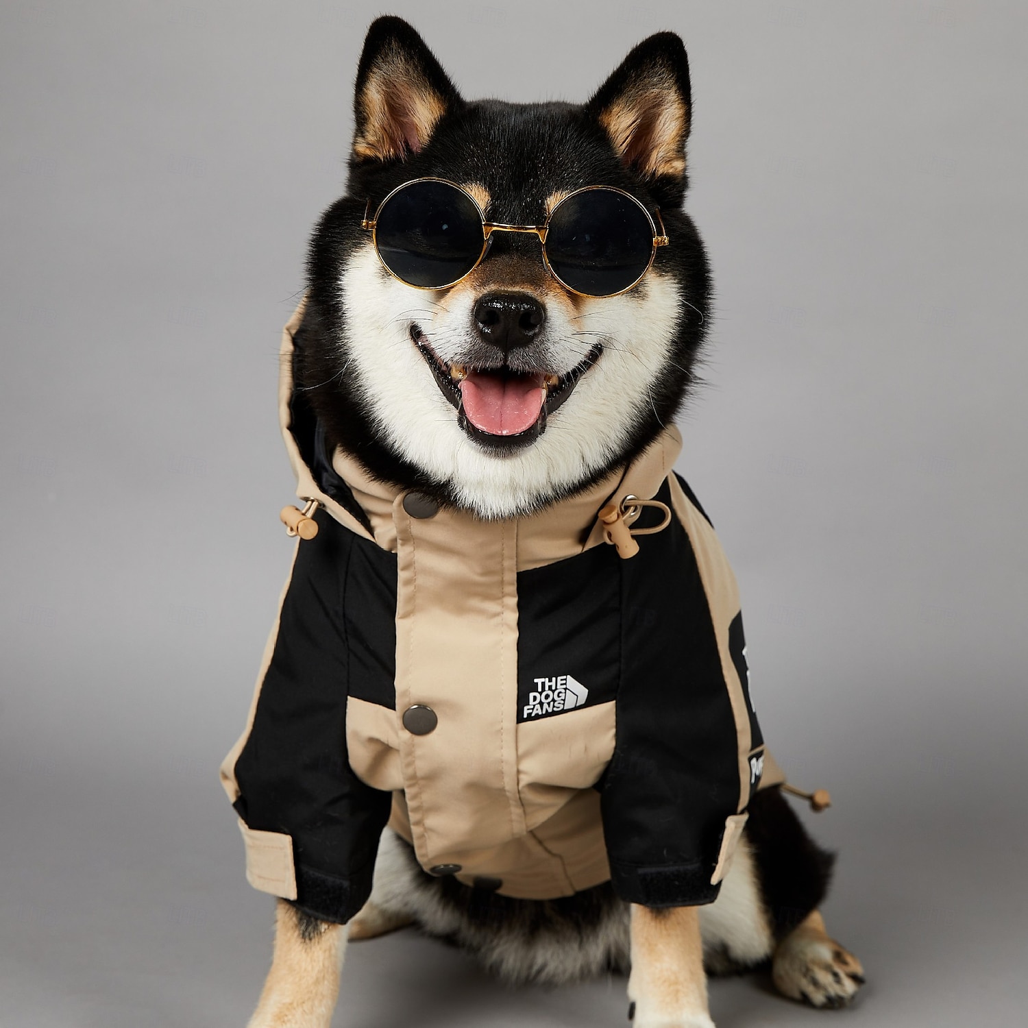 capa de chuva para cachorro, capa de chuva impermeável com capuz, capa de chuva para animais de estimação com furo para guia para cães pequenos, médios e grandes de 2025 por $24.99 –P5