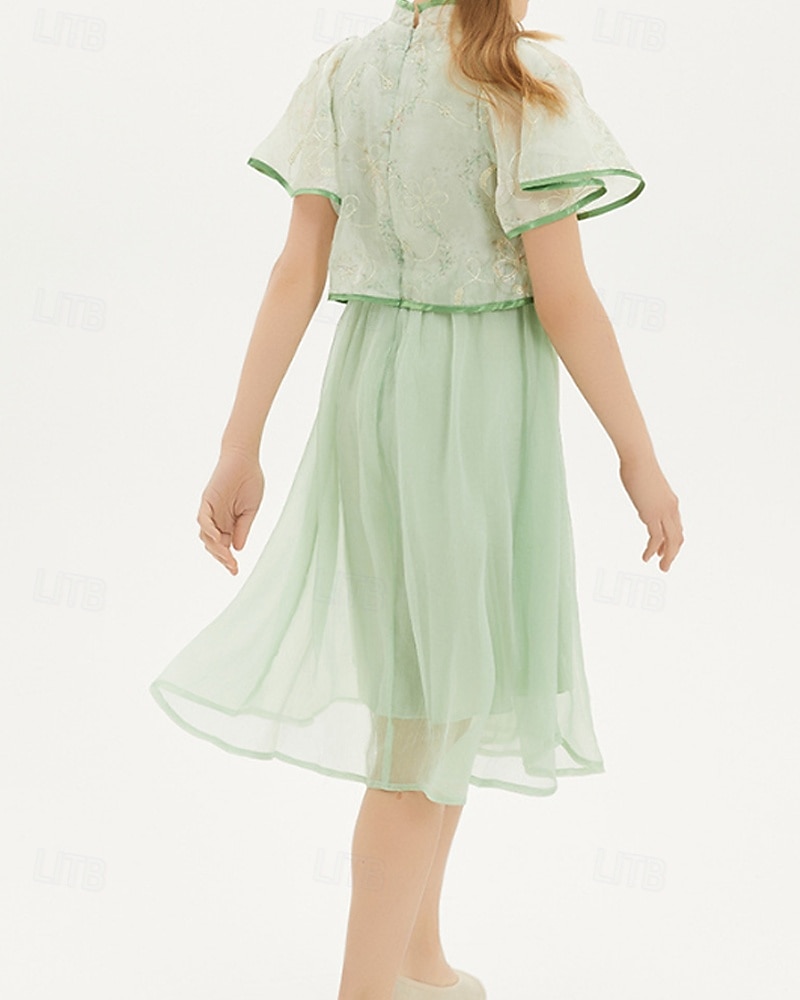 Kids Girls' Dress Solid Color Short Sleeve Outdoor Mesh Patchwork Adorable Polyester Knee-length Casual Dress Summer 4 years+ Green 2025 - $64.99 –P7