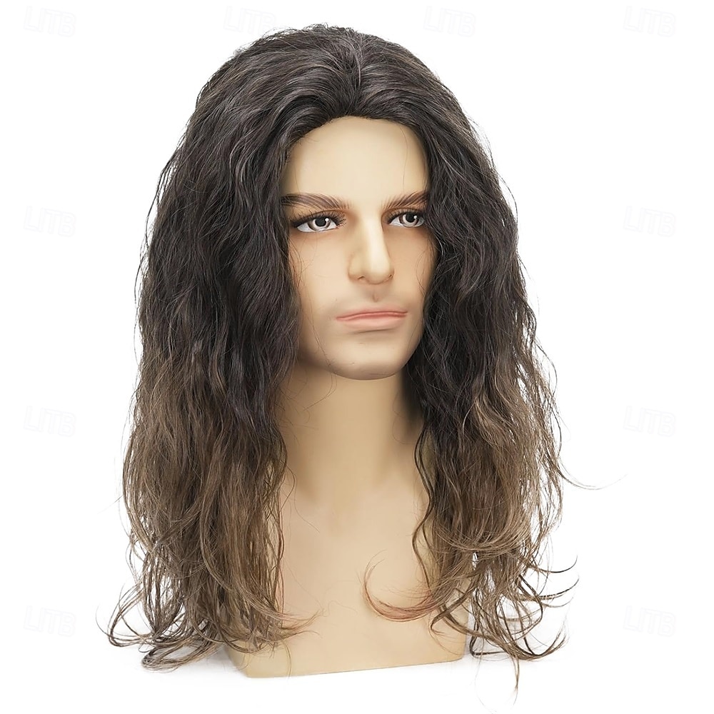 Perruques synthétiques pour hommes, cheveux longs, bouclés et duveteux, idéales pour un usage quotidien, une fête ou un costume d'Halloween. de 2025 ? $27.99 –P4
