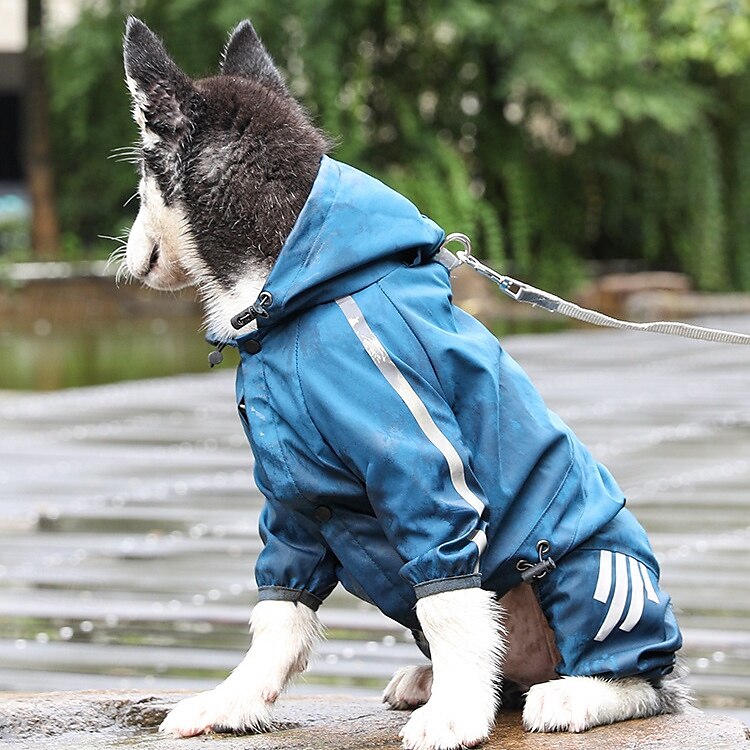 Capa de chuva para cachorro, capa de chuva impermeável com capuz, capa de chuva refletiva alta para animais de estimação com furo para guia para cães pequenos, médios e grandes de 2025 por $18.49 –P18