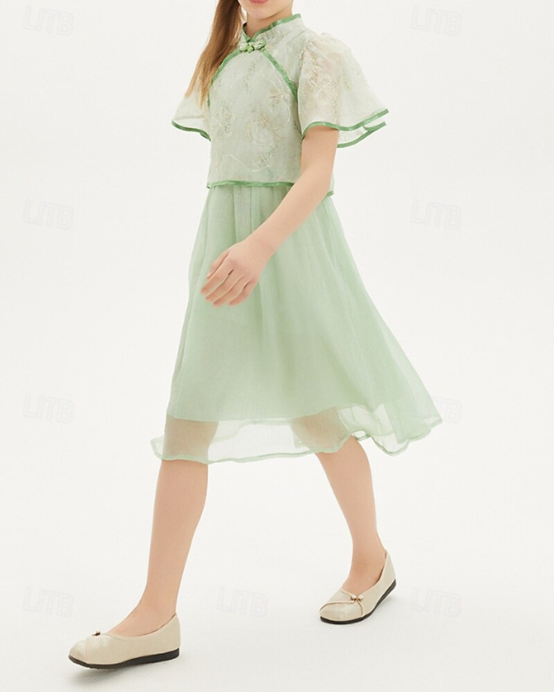 Kids Girls' Dress Solid Color Short Sleeve Outdoor Mesh Patchwork Adorable Polyester Knee-length Casual Dress Summer 4 years+ Green 2025 - $64.99 –P4