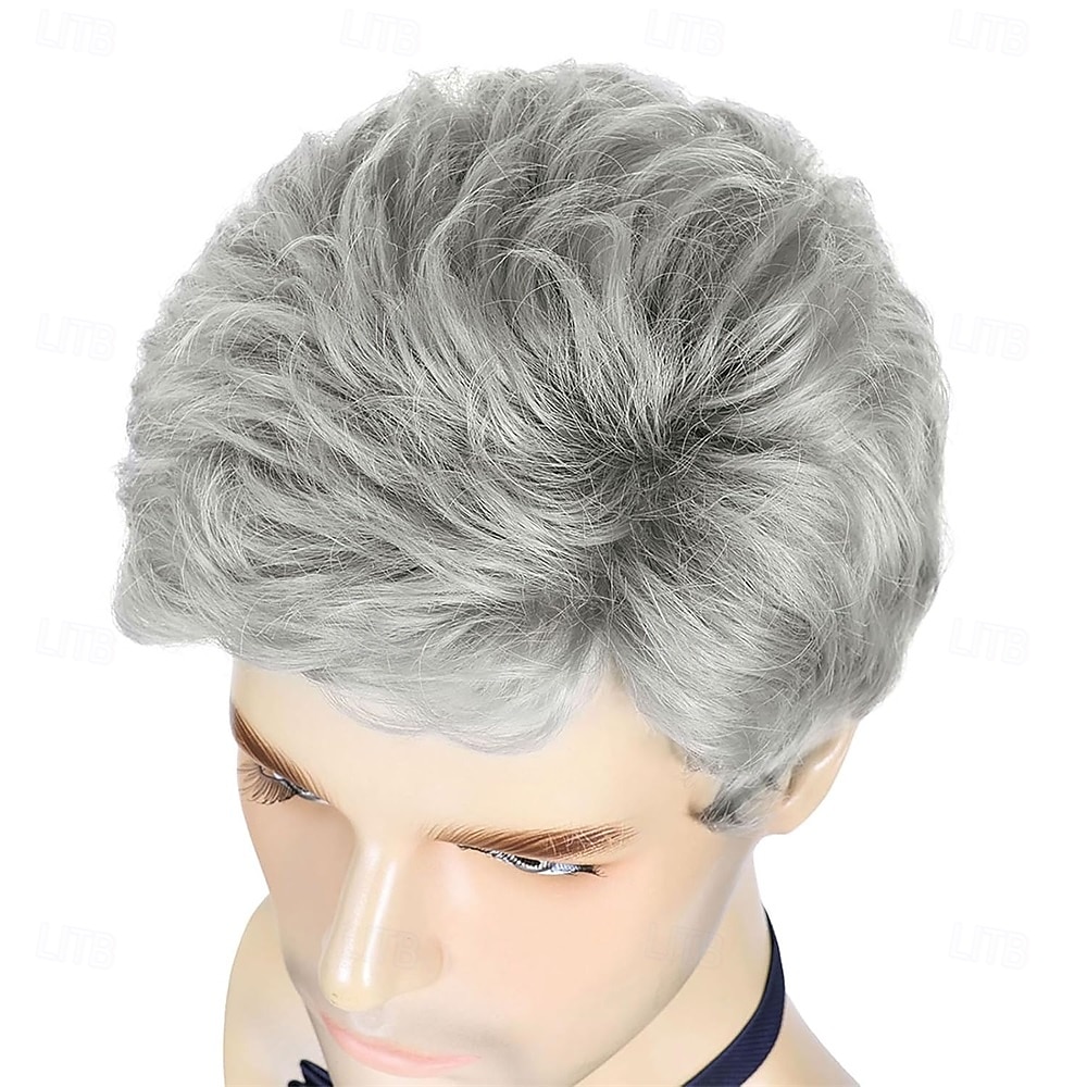 Parrucca da uomo corta grigio argento, parrucche sintetiche a strati naturali per uomo, per Halloween quotidiano. del 2025 a $24.99 –P3