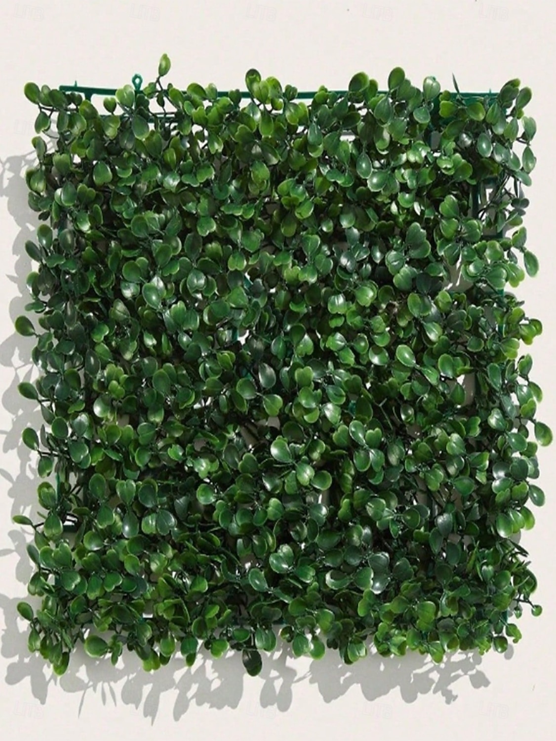 1pc 2025 - $6.49 –P5