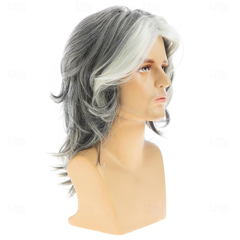 Herrenperücke grau lang glatt synthetische hitzebeständige Kostüm Cosplay Haarperücke 2025 - $25.99 –P3