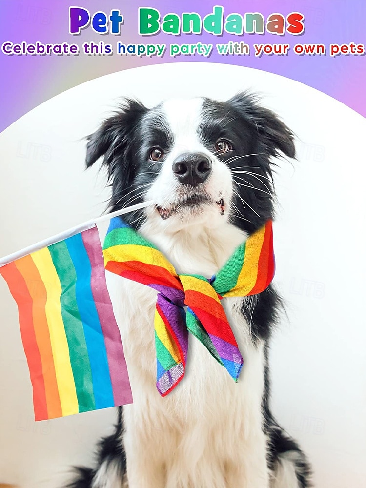 Unisex Paisley Rainbow Pride Scarf - A colorful LGBTQ+ accessory for festivals, Parades and everyday wear 2025 - $9.99 –P6