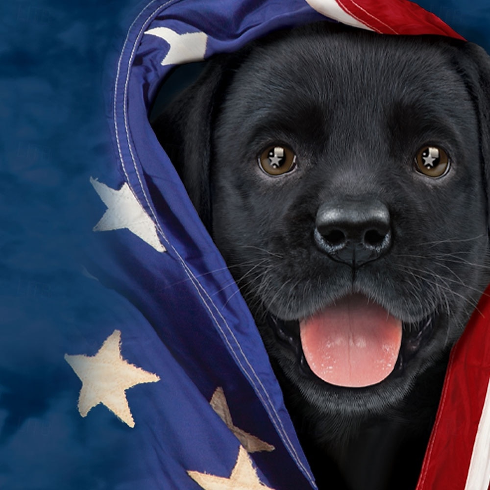 hazafias fekete labrador kölyök Vincent Hie férfi függetlenség napi amerikai zászlós rövid ujjú ing, limitált kiadású, designer ing 2025 - $23.99 –P2