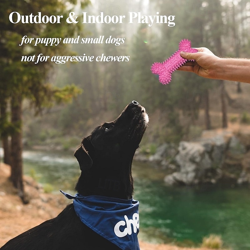 Ball Chew Toy Ball Launchers Interactive Toy Squeak Toy with Durable Pet Exercise Releasing Pressure Teething Rope Toy Teething Toy for Dog Indoor Outdoor Pet Play 2025 - $39.99 –P5