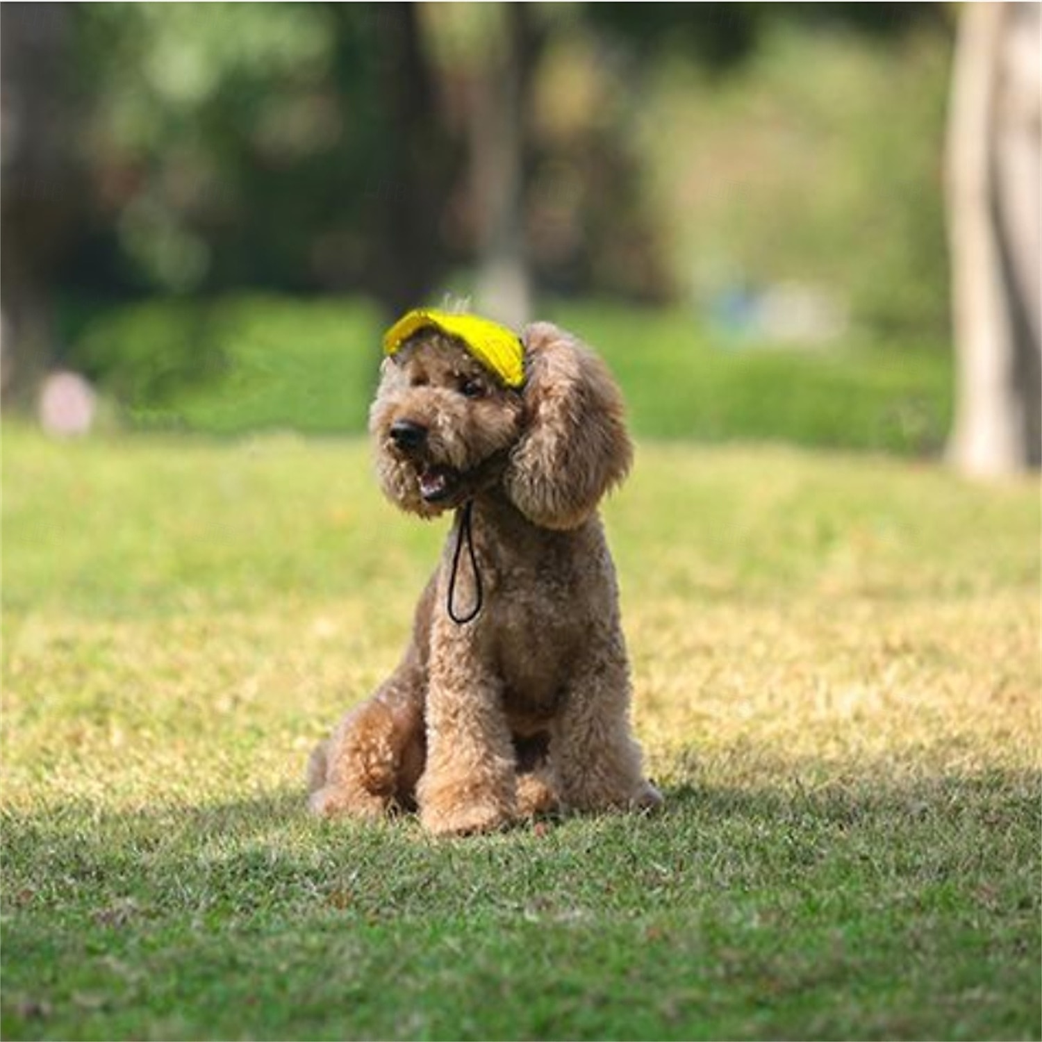 Hunde-Baseballkappe, Hunde-/Katzen-Sommer-/Strand-Schirmmütze mit Ohrlöchern, verstellbare Welpen-Sonnenhaube, Kopfbedeckung 2025 - $15.49 –P3
