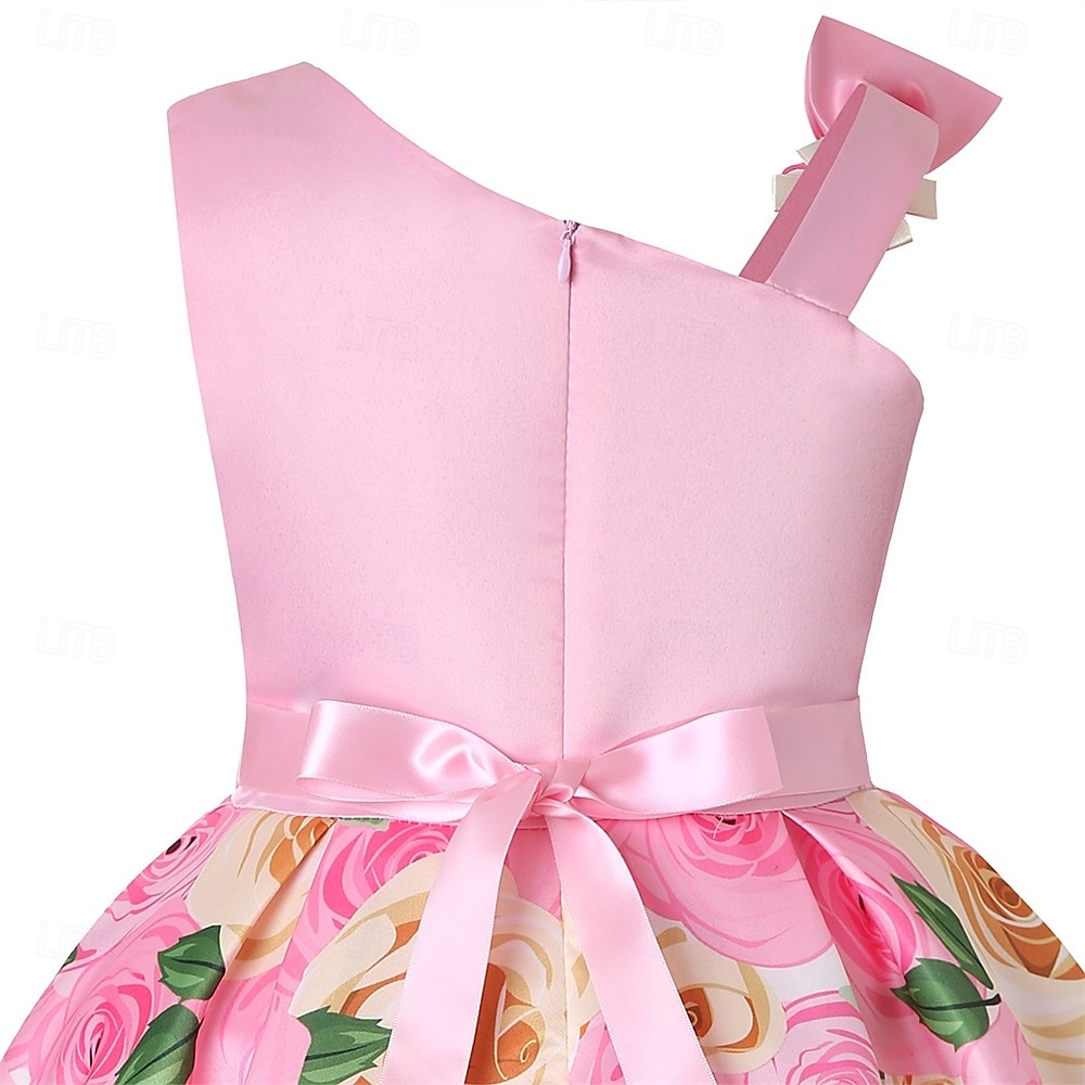 Kids Girls' Party Dress Graphic Sleeveless Performance Special Occasion Princess Polyester Party Dress Summer Spring kids Multicolor Yellow Light Green 2025 - $32.99 –P5