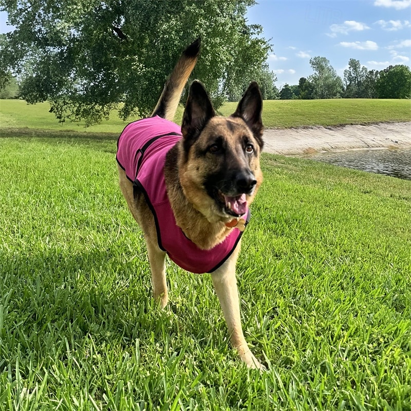 Camisas para cães, camisetas elásticas e macias de secagem rápida para animais de estimação com etiqueta refletiva, regata sem mangas, colete com proteção solar, roupas para cães de médio e grande de 2025 por $18.49 –P6