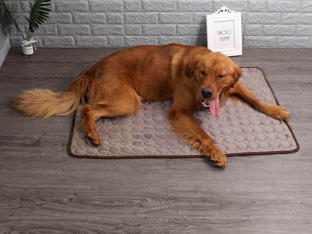 Tapis rafraîchissant pour chien - lit rafraîchissant instantané pour chien &chats non toxiques &tapis rafraîchissant antidérapant lavable en machine pour l'intérieur &utilisation en voyage de 2025 ? $13.99 –P4