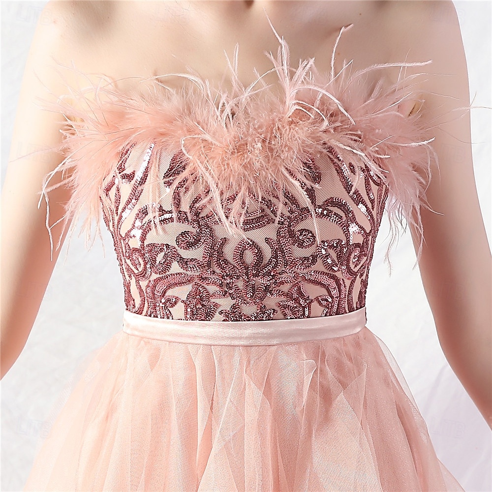 A-Line Quinceanera Dresses Elegant Dress Formal Wedding Asymmetrical Sleeveless Strapless Tulle Backless with Feather Embroidery 2025 - $84.99 –P8