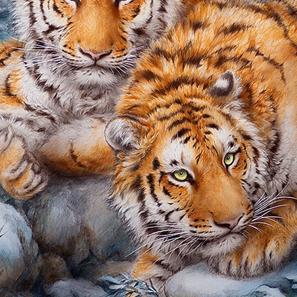 Kayomi Harai Herren 3D Tier Tiger T-Shirt Kurzarm T-Shirt 3D Druck Rundhals Shirt Mode übertrieben Alltag Party Straße Casual Blau Sommer Frühling Ganzjahreskleidung S M L XL 2025 - $19.99 –P2