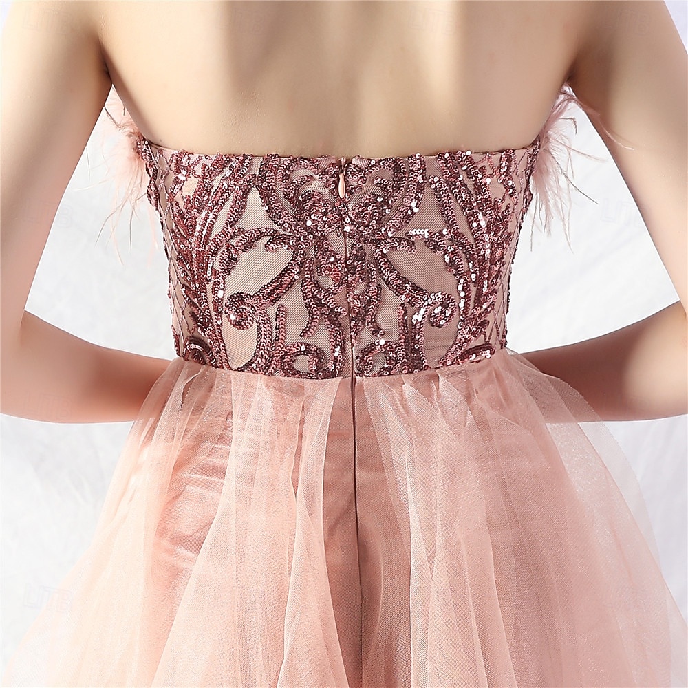 A-Line Quinceanera Dresses Elegant Dress Formal Wedding Asymmetrical Sleeveless Strapless Tulle Backless with Feather Embroidery 2025 - $84.99 –P7