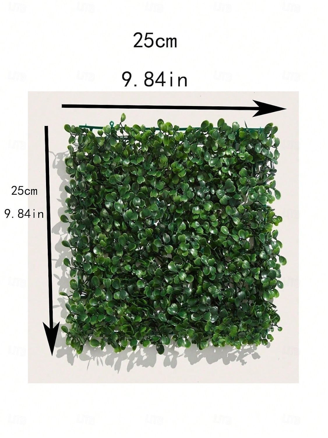 1pc 2025 - $6.49 –P11