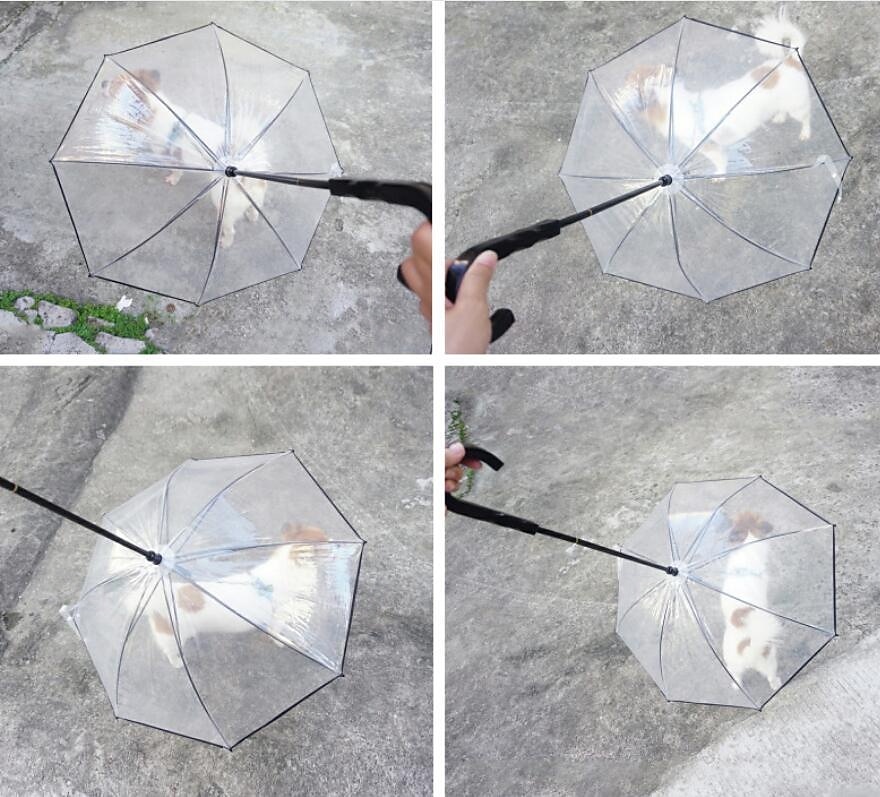 Paraguas para perros pequeños, correa transparente para paraguas, impermeable, paraguas para pasear perros con cadena de metal, equipo de lluvia para exteriores para mascotas. 2025 - $23.99 –P9