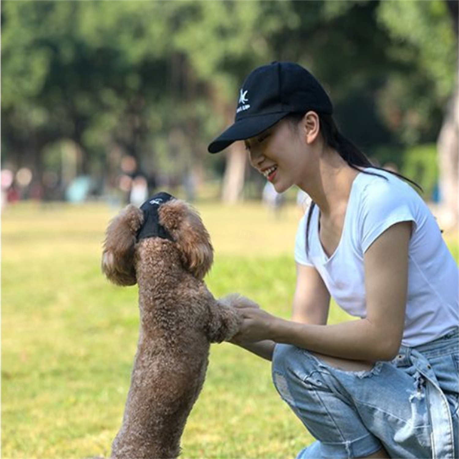 Hunde-Baseballkappe, Hunde-/Katzen-Sommer-/Strand-Schirmmütze mit Ohrlöchern, verstellbare Welpen-Sonnenhaube, Kopfbedeckung 2025 - $15.49 –P5