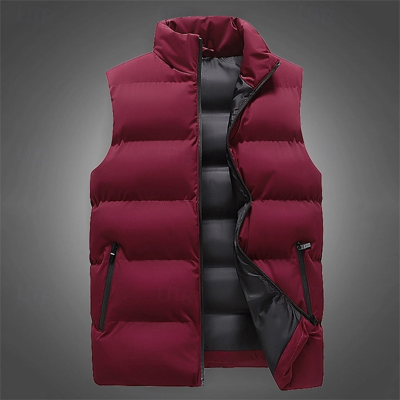 Herr Pufferväst Gilet Quiltad väst Semester Dagligen Datum Mode Ledigt Höst vinter Ficka Polyester Håller värmen Bekväm Ensfärgat Dragkedja Hög krage Normal Svart Vin Rubinrött Blå Väst 2025 - $23.99 –P9