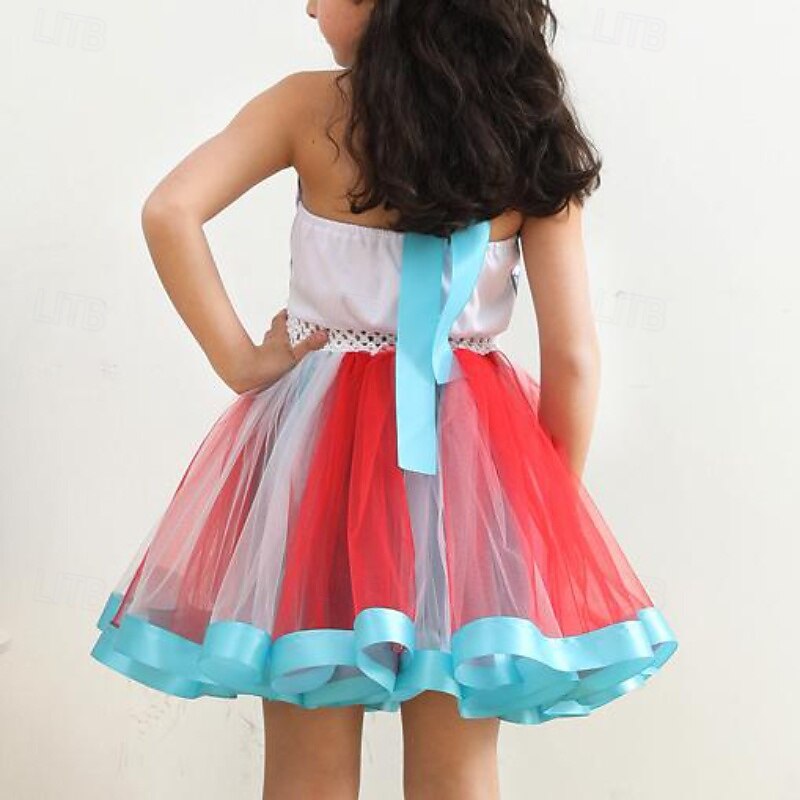 mesh color block dress Elegant Temperament Color-Block Patchwork Long-Sleeve Mesh Dress
