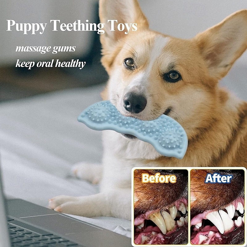 Ball Chew Toy Ball Launchers Interactive Toy Squeak Toy with Durable Pet Exercise Releasing Pressure Teething Rope Toy Teething Toy for Dog Indoor Outdoor Pet Play 2025 - $39.99 –P3