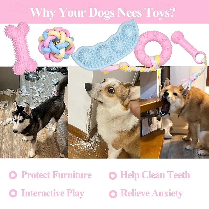 Ball Chew Toy Ball Launchers Interactive Toy Squeak Toy with Durable Pet Exercise Releasing Pressure Teething Rope Toy Teething Toy for Dog Indoor Outdoor Pet Play 2025 - $39.99 –P6