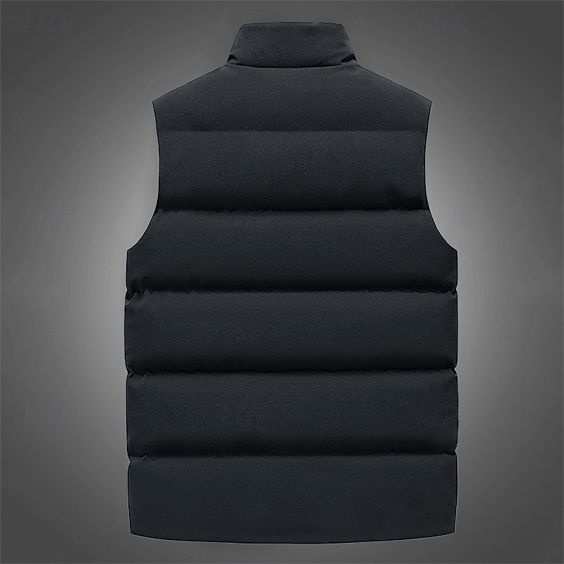 Herr Pufferväst Gilet Quiltad väst Semester Dagligen Datum Mode Ledigt Höst vinter Ficka Polyester Håller värmen Bekväm Ensfärgat Dragkedja Hög krage Normal Svart Vin Rubinrött Blå Väst 2025 - $23.99 –P2