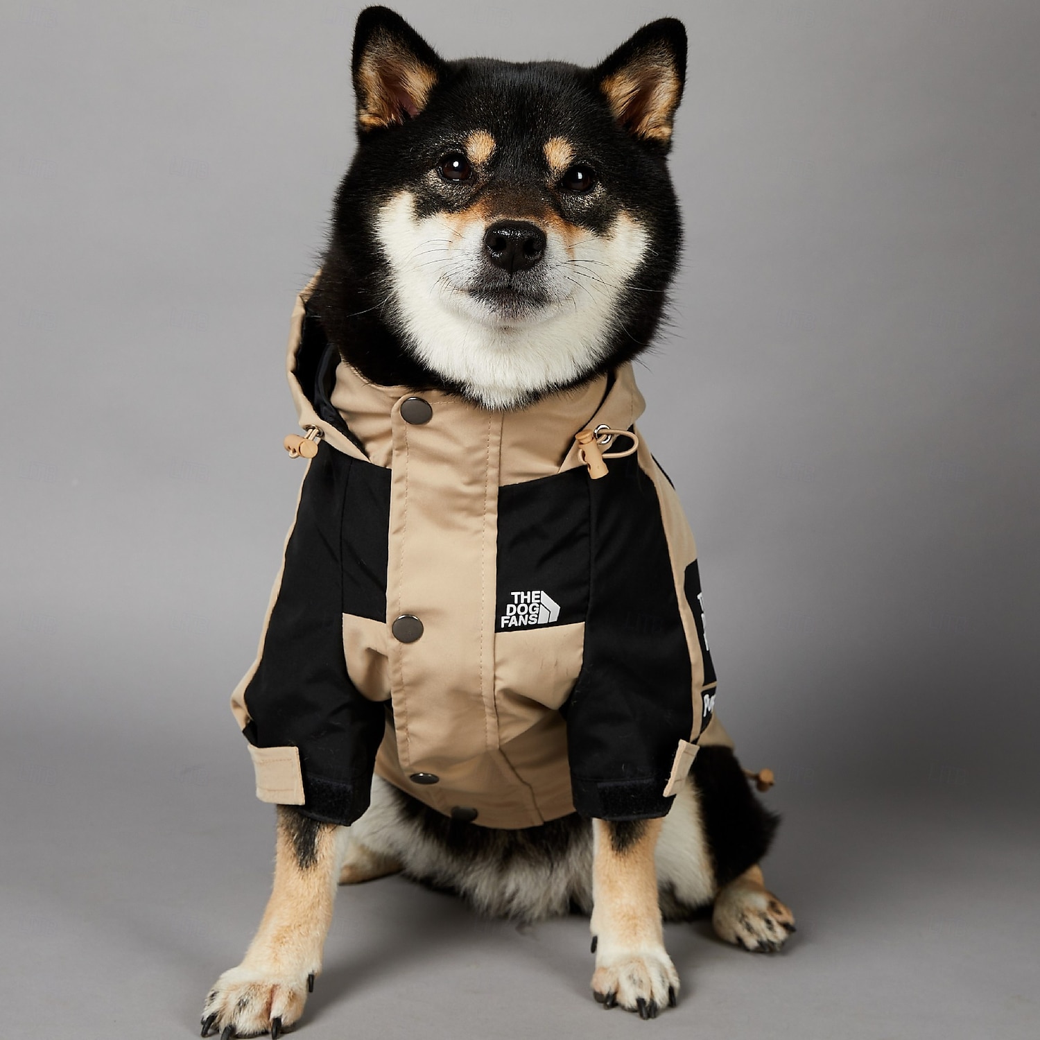 capa de chuva para cachorro, capa de chuva impermeável com capuz, capa de chuva para animais de estimação com furo para guia para cães pequenos, médios e grandes de 2025 por $24.99 –P3