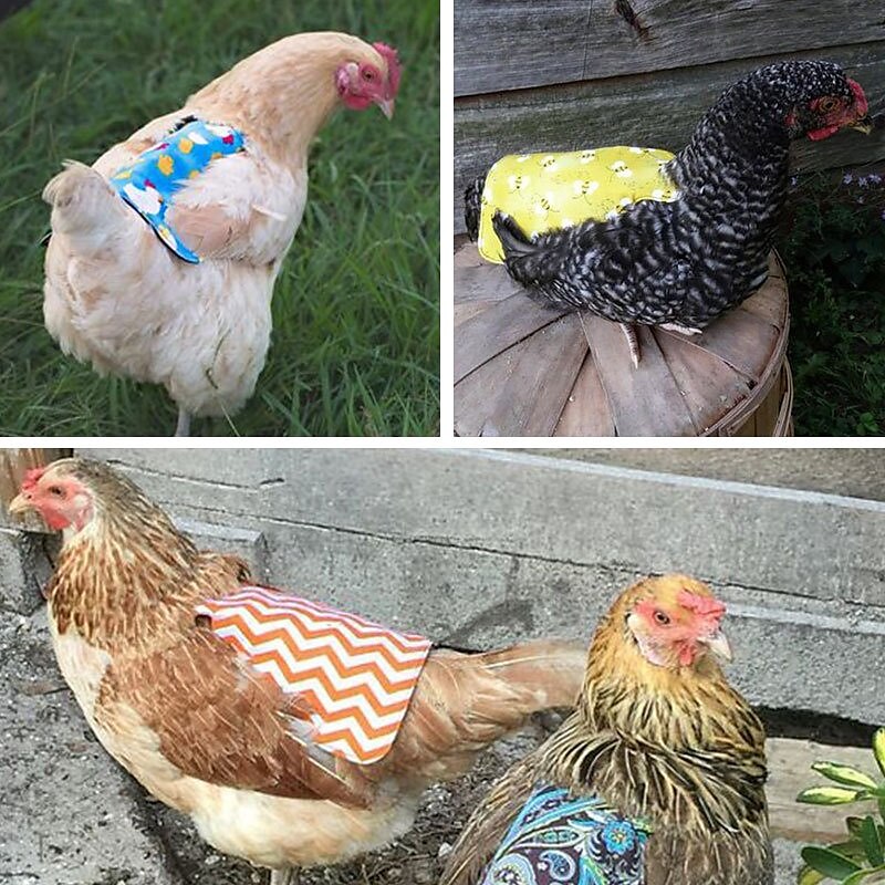 Pet Feather Protector Back Wing Protector Hen Saddle Apron Double Jacket 2025 - $9.99 –P11