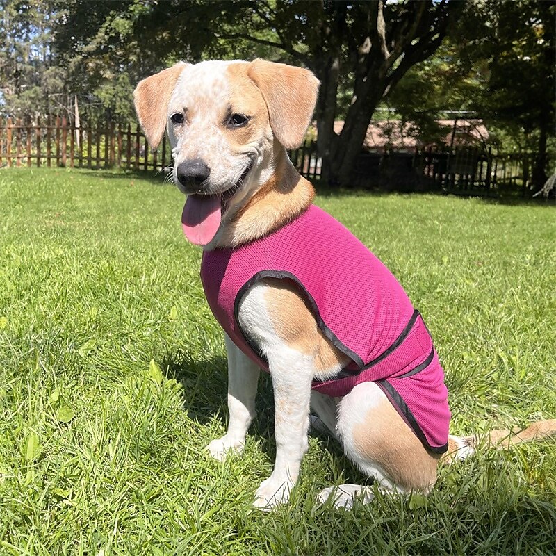 Camisas para cães, camisetas elásticas e macias de secagem rápida para animais de estimação com etiqueta refletiva, regata sem mangas, colete com proteção solar, roupas para cães de médio e grande de 2025 por $18.49 –P3