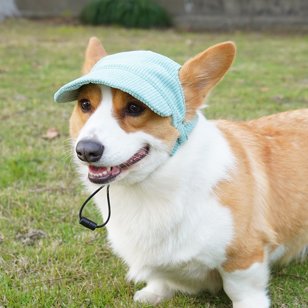 Hundebaseballcaps hund katt sommer strandhatt med ørehull justerbar valpehatt hodeplagg 2025 - $15.49 –P4